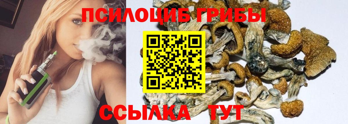 Галлюциногенные грибы прущие грибы Серпухов